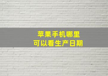 苹果手机哪里可以看生产日期