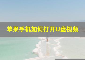 苹果手机如何打开U盘视频