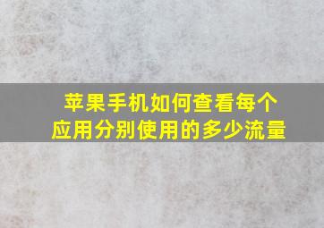 苹果手机如何查看每个应用分别使用的多少流量