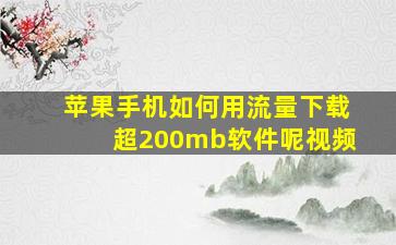 苹果手机如何用流量下载超200mb软件呢视频