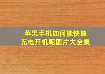 苹果手机如何能快速充电开机呢图片大全集