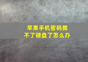 苹果手机密码摁不了键盘了怎么办