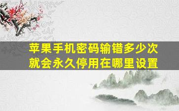 苹果手机密码输错多少次就会永久停用在哪里设置