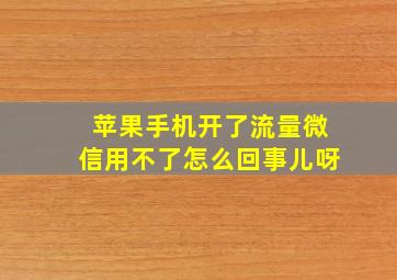 苹果手机开了流量微信用不了怎么回事儿呀