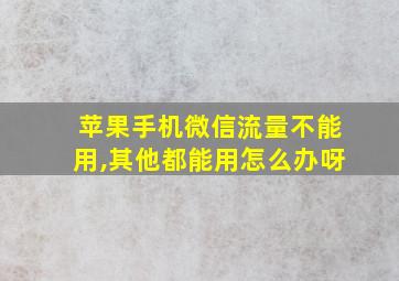 苹果手机微信流量不能用,其他都能用怎么办呀