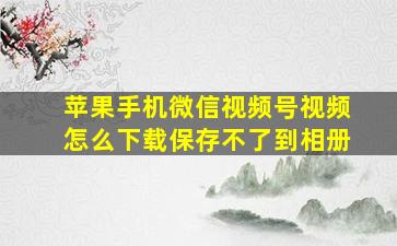 苹果手机微信视频号视频怎么下载保存不了到相册