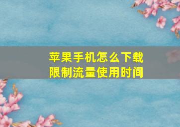 苹果手机怎么下载限制流量使用时间