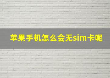 苹果手机怎么会无sim卡呢