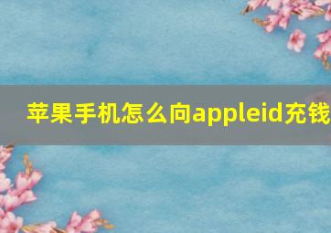 苹果手机怎么向appleid充钱