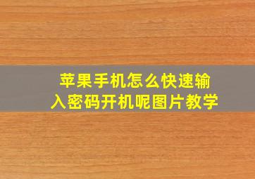 苹果手机怎么快速输入密码开机呢图片教学