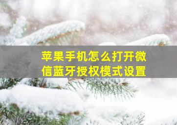 苹果手机怎么打开微信蓝牙授权模式设置