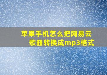 苹果手机怎么把网易云歌曲转换成mp3格式