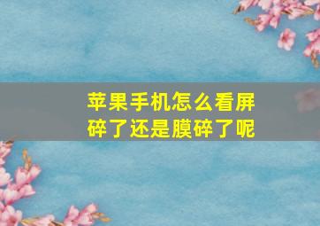 苹果手机怎么看屏碎了还是膜碎了呢