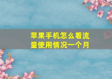 苹果手机怎么看流量使用情况一个月