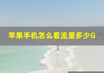 苹果手机怎么看流量多少G