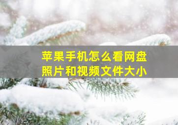 苹果手机怎么看网盘照片和视频文件大小