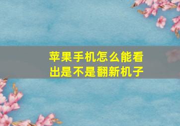 苹果手机怎么能看出是不是翻新机子