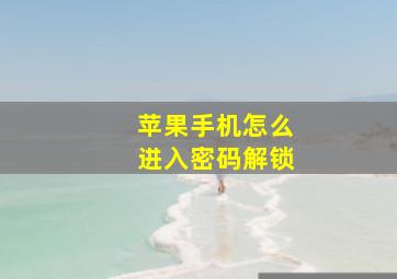 苹果手机怎么进入密码解锁