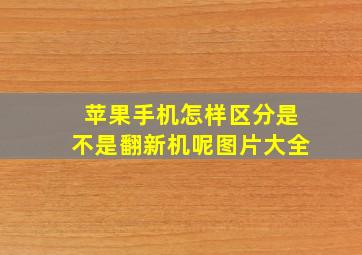 苹果手机怎样区分是不是翻新机呢图片大全