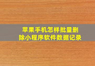 苹果手机怎样批量删除小程序软件数据记录