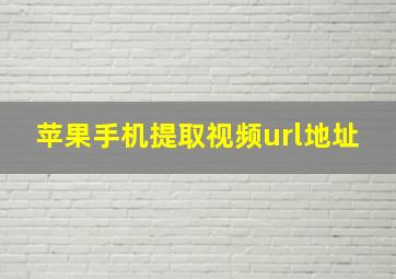 苹果手机提取视频url地址