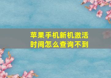 苹果手机新机激活时间怎么查询不到