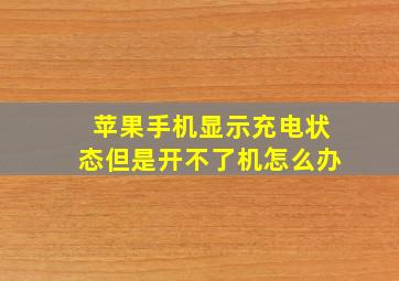 苹果手机显示充电状态但是开不了机怎么办