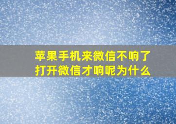 苹果手机来微信不响了打开微信才响呢为什么