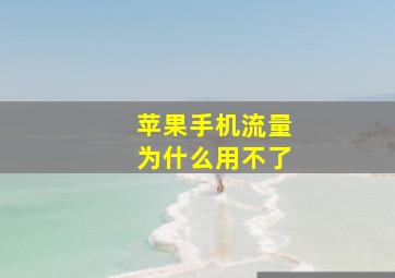 苹果手机流量为什么用不了