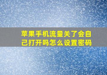 苹果手机流量关了会自己打开吗怎么设置密码