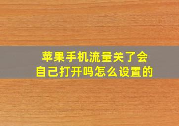 苹果手机流量关了会自己打开吗怎么设置的