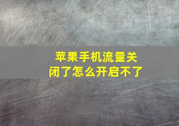 苹果手机流量关闭了怎么开启不了