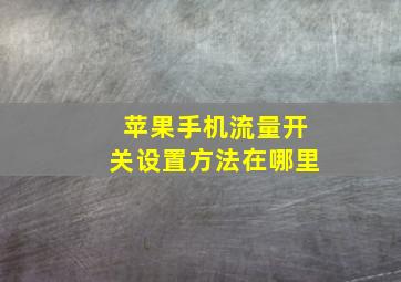 苹果手机流量开关设置方法在哪里