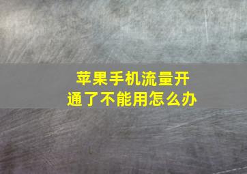 苹果手机流量开通了不能用怎么办