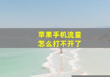 苹果手机流量怎么打不开了