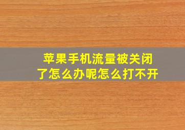 苹果手机流量被关闭了怎么办呢怎么打不开