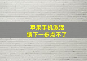 苹果手机激活锁下一步点不了