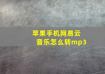 苹果手机网易云音乐怎么转mp3