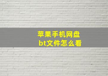 苹果手机网盘bt文件怎么看