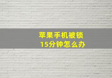 苹果手机被锁15分钟怎么办