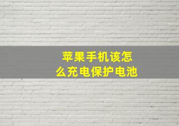 苹果手机该怎么充电保护电池