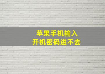 苹果手机输入开机密码进不去