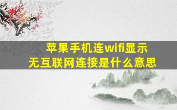 苹果手机连wifi显示无互联网连接是什么意思