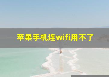 苹果手机连wifi用不了