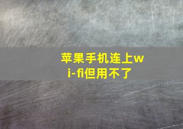 苹果手机连上wi-fi但用不了