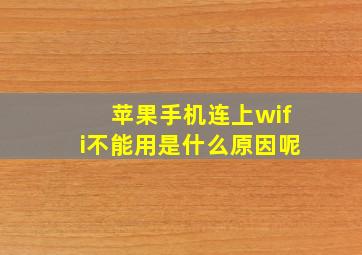 苹果手机连上wifi不能用是什么原因呢