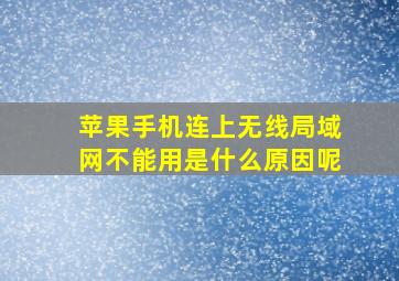 苹果手机连上无线局域网不能用是什么原因呢