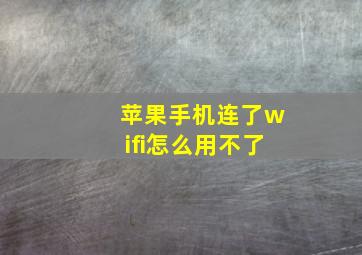 苹果手机连了wifi怎么用不了