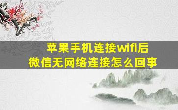 苹果手机连接wifi后微信无网络连接怎么回事