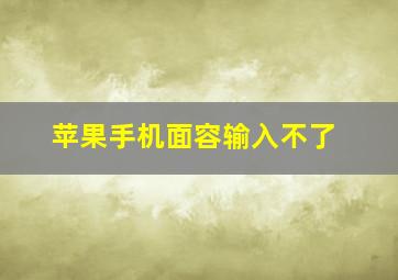 苹果手机面容输入不了